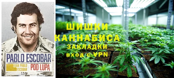 гашик Фёдоровский