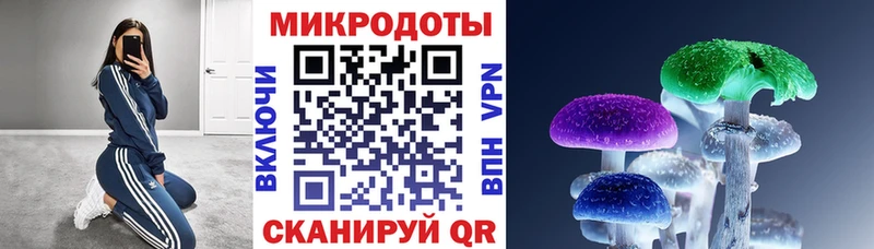 продажа наркотиков Балей Псилоцибиновые грибы GOLDEN TEACHER